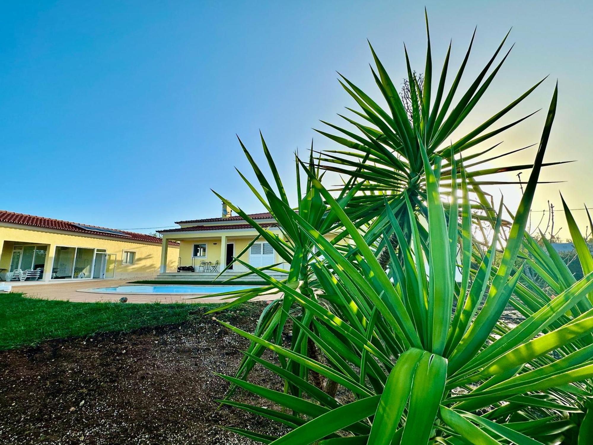 Por-Do-Sol Villa São Pedro do Corval Eksteriør billede